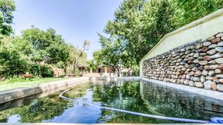PlumTree Guestique | Accommodation Greyton