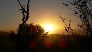 Parkers Cottages | South Africa Specials