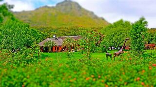 Thulani River Lodge | Accommodation Hout Bay