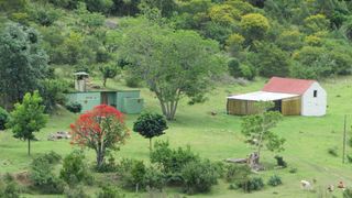 Bergrivier Outdoor Experience EC | Accommodation Thornhill