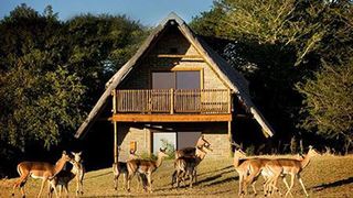 Amorello | Accommodation Hhuhluwe Game Reserve and surrounds