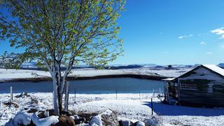 The Tin Shack | Accommodation Underberg