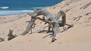 Calanga Phati Eco Camp | Calanga Beach Accommodation