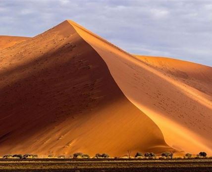 Desert Beach and Bush (Namibia)