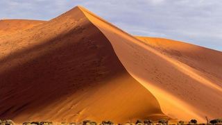 Desert Beach and Bush (Namibia) | Windhoek Central Accommodation