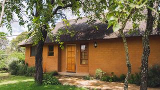 Wildthingz Lodge | Accommodation Polokwane (Pietersburg)