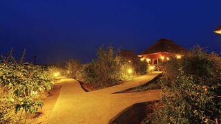 Buffalo Safari Lodge | Queen Elizabeth National Park Accommodation