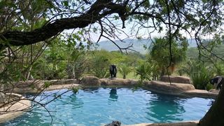Leopards Ledge | Renosterkop Specials
