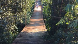 Kululapa-indi-bos | Karkloof Self-catering