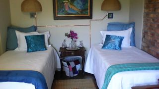 Kingfisher Blue on Milkwood | Lodges Sabie