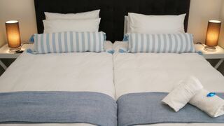Wineland Suites | Accommodation Wellington