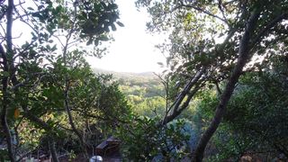 Shepherd's Keep Gîte Safari Camp | Groenvlei (Sedgefield) Accommodation