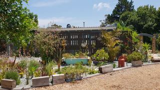 The Island Studio | The Island (Sedgefield) Accommodation