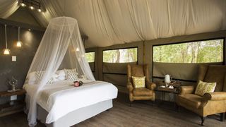 The Sticky Tongue | Accommodation Makalali Private Game Reserve