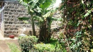 Brian's Inn | Njoro Accommodation