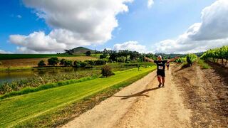 Winemakers House - Farm Accommodation | Stellenbosch Accommodation