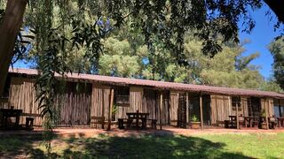 TreeTopia Guesthouse | Rynfield Accommodation