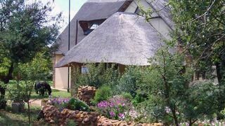 The Gecko Inn | Venterskroon Accommodation