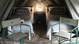 Kruger Park Tours | Skukuza Accommodation