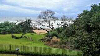 Portofino Unit A | Hibiscus Coast Specials