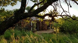 Kokopelli Farm | Magaliesburg Accommodation