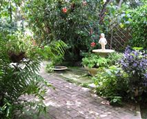 Coral Guest Cottages
