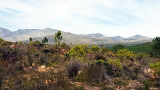 Avani Lodge Private Nature Reserve | Lodges Bot River