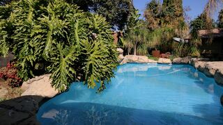 Summer Garden Guest House (The Palms) | Benoni Specials
