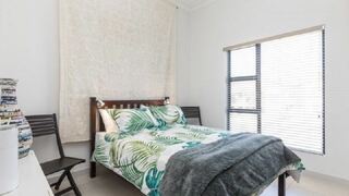 The Poplar Leafy Green | Accommodation Kengies