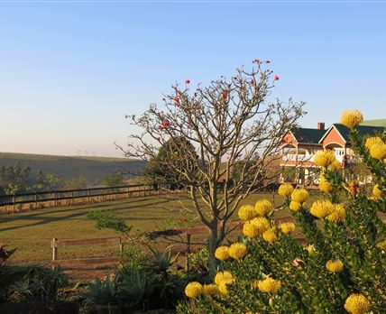 Tehillah Farm