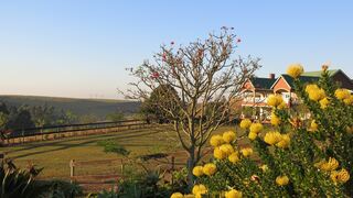 Tehillah Farm | Summerveld Accommodation