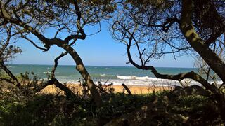 Trevi A | Shelly Beach (KZN) Accommodation