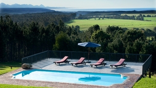 Packwood Wine and Country Estate | Accommodation Plettenberg Bay