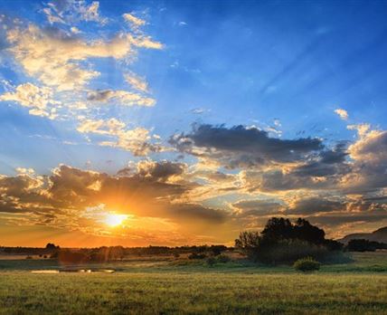 Thaba Manzi Ranch