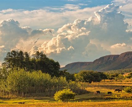 Thaba Manzi Ranch
