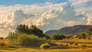 Thaba Manzi Ranch | Magaliesburg Accommodation
