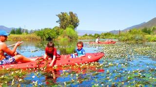 Grootfontein Camping Villages | Citrusdal Accommodation