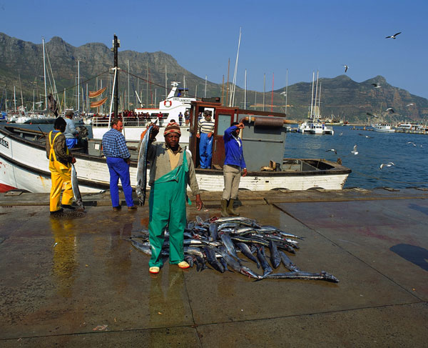 Hout Bay Harbour