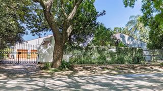 Bay Tree Guest House | Accommodation Baileys Muckleneuk