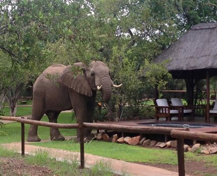 Tsakane Safari Camp