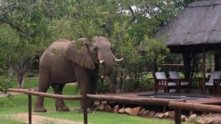 Tsakane Safari Camp | Accommodation Balule Nature Reserve