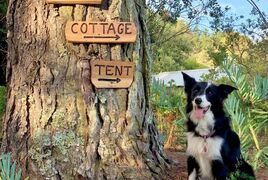 Eagles' Call Cottages & Tent | Accommodation Wilderness