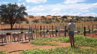 Terra Rouge | South Namibia Accommodation