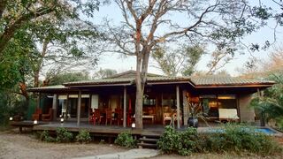 Toad Tree Lodge | Hluhluwe Accommodation