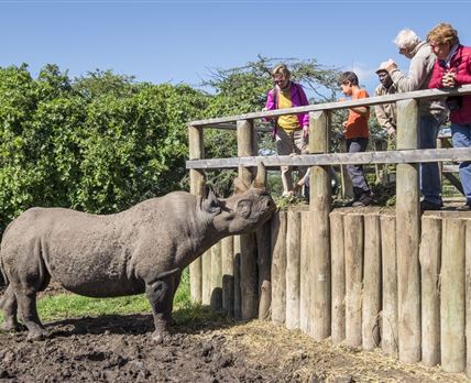 Porini Rhino Camp
