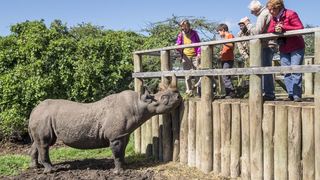Porini Rhino Camp | Accommodation Ol Pejeta Conservancy