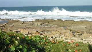Stradford Blue | Self-catering Uvongo