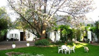 Little Green World | Beaufort West Specials