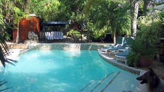 Roland's Rendezvous International Guest House | Accommodation Stellenbosch