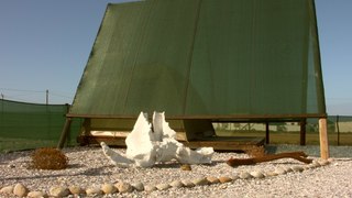 Skulpieskraal Tented Lodge and Rooi Spinnekop Restaurant | Hondeklipbaai Specials